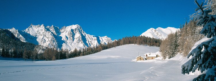 Le spectacle de la nature